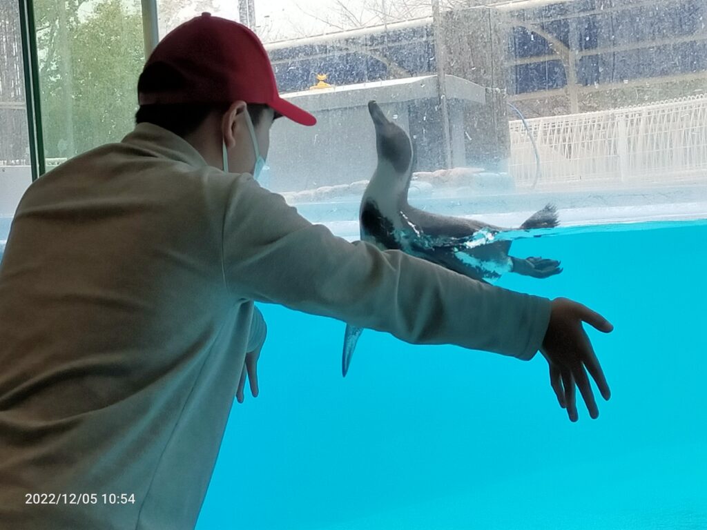 大好きなペンギンと