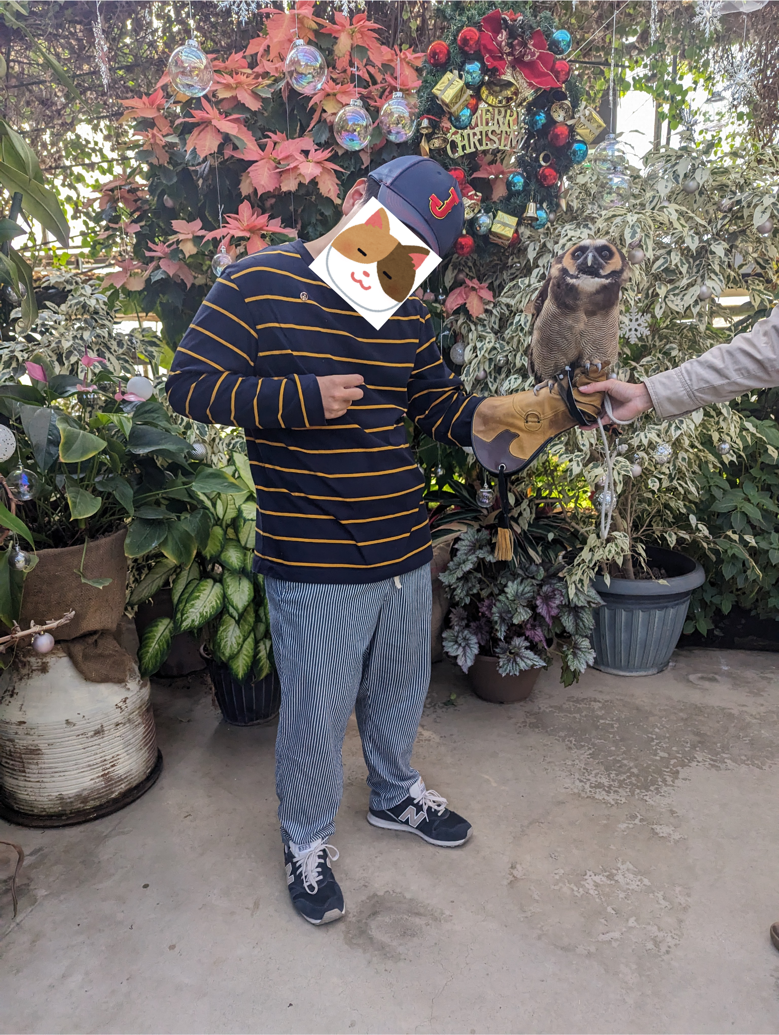 フクロウを手にするJ君