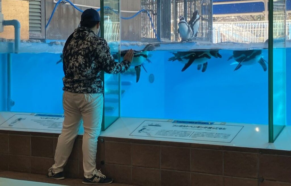 王子動物園