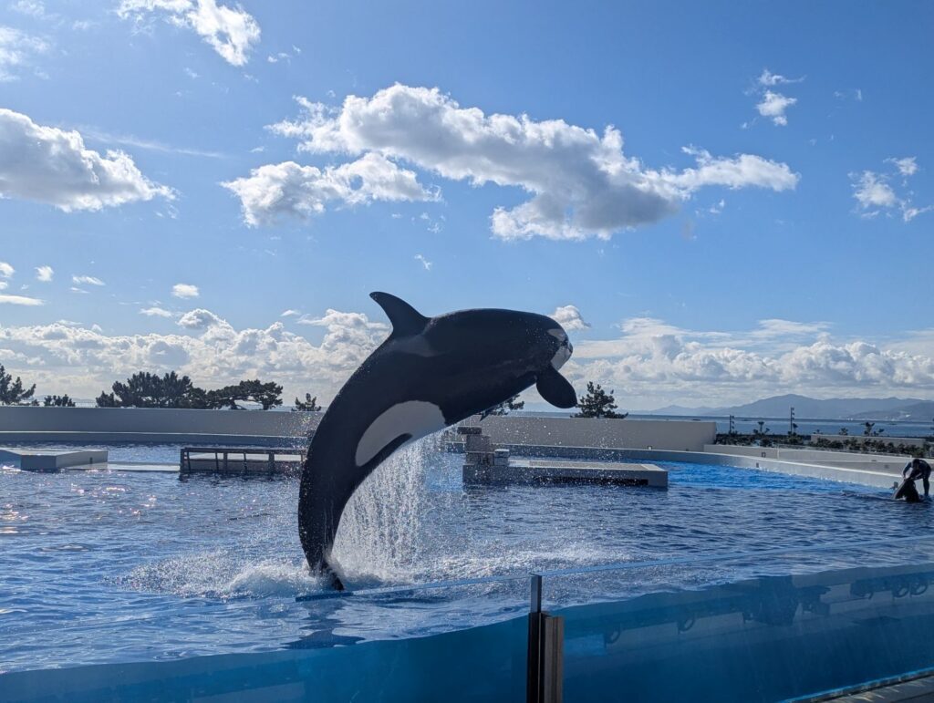 須磨シーワールド