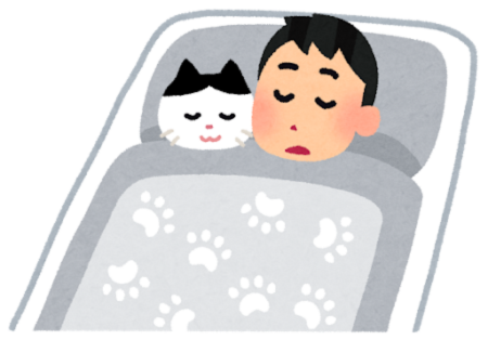 寝る前