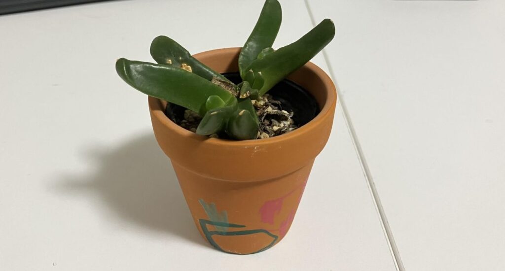 リメイク鉢アート