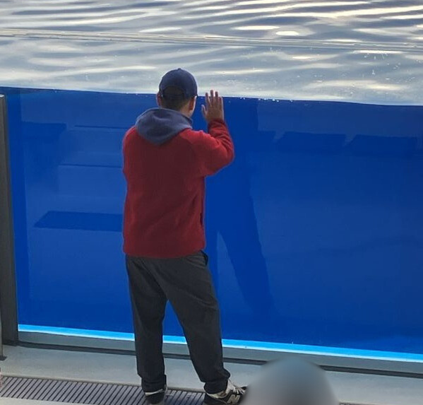 シャチを見ているJ君