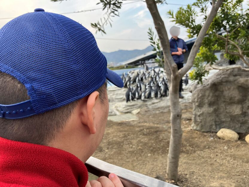 ペンギンのえさやりを楽しむJ君