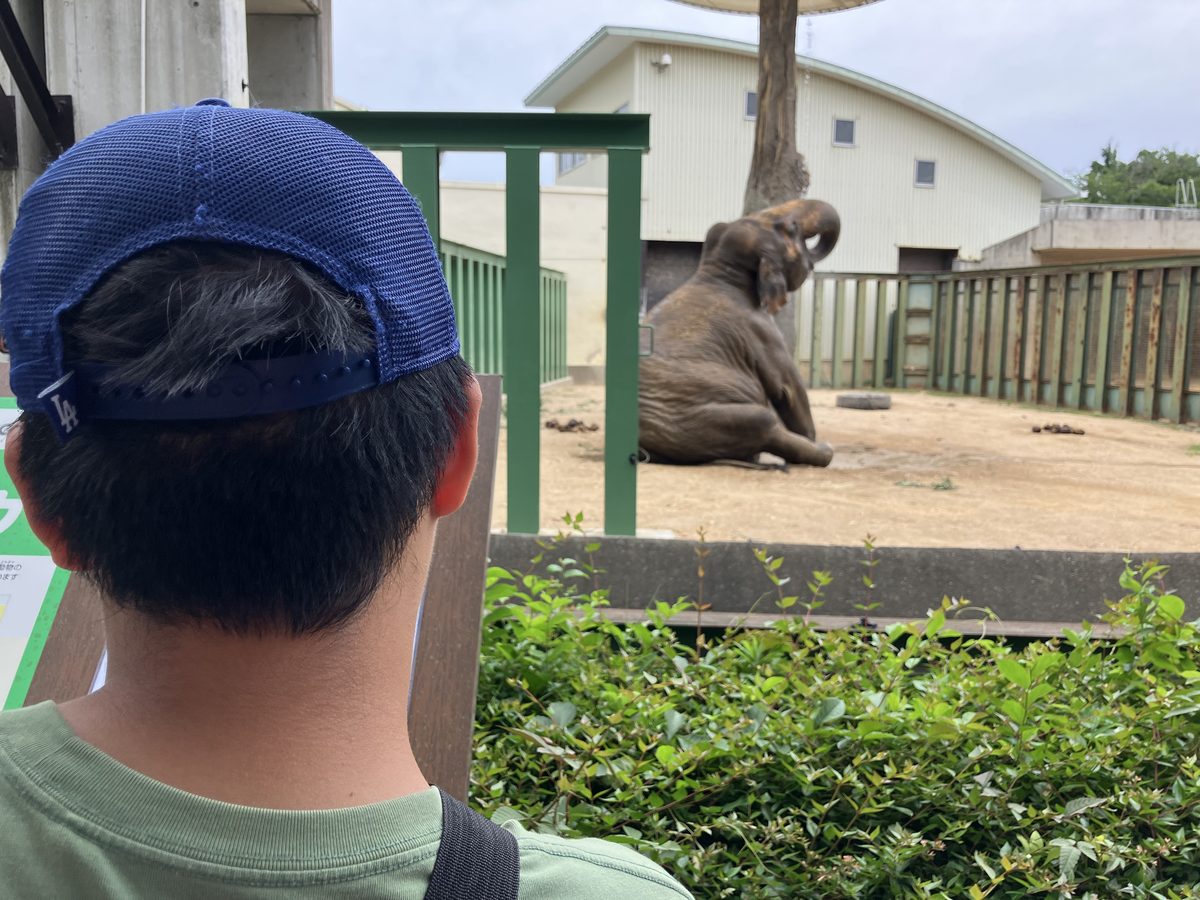ゾウを見つめる自閉症のJ君