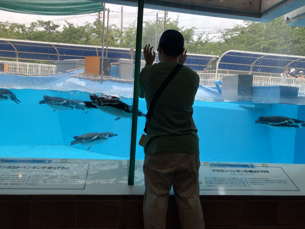 ペンギンにガラス越しに手をかざすJ君