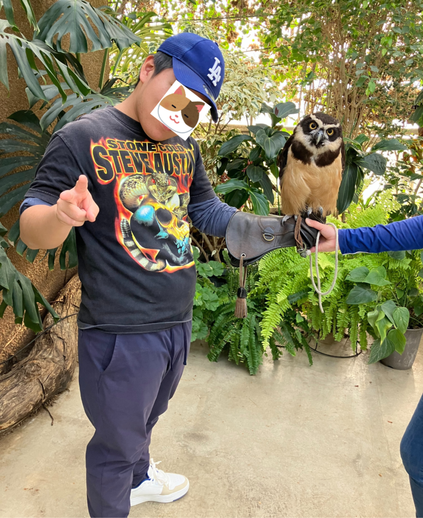 フクロウを腕に乗せる息子|神戸どうぶつ王国