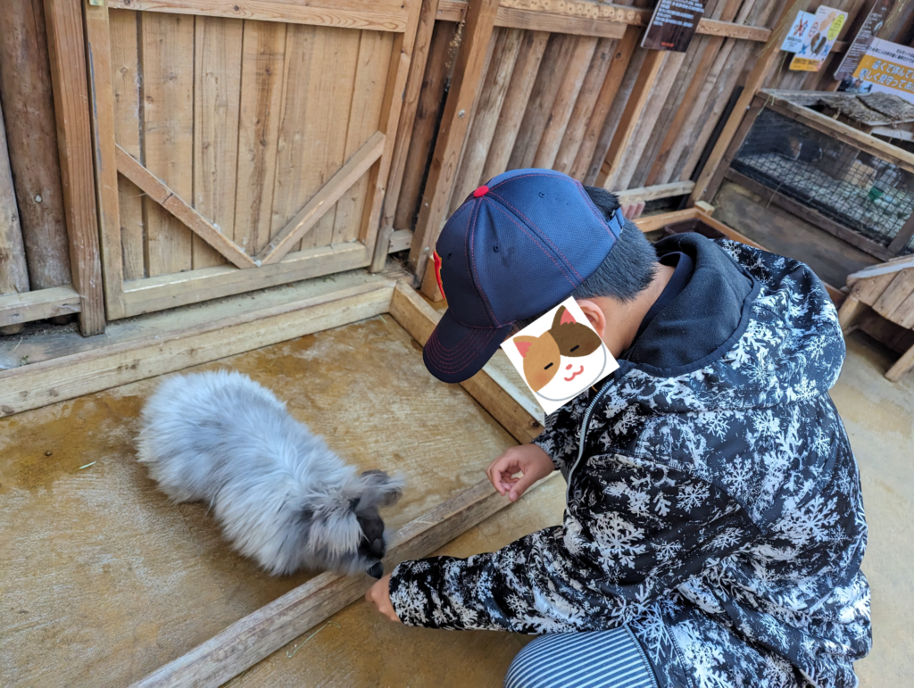 うさぎとふれあう息子|神戸どうぶつ王国
